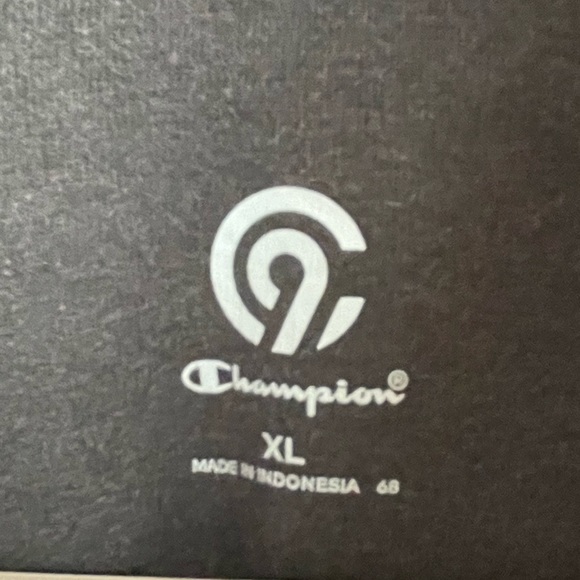 CHAMPION ZIP FRONT HOODIE 2 ZIP FRONT POCKETS SIZE US XL GRAY/BLACK, EUC - Picture 4 of 8